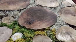 Detailaufnahme vom Sticks