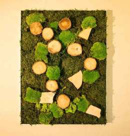Moosbild-Mix-Holz-02