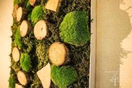Bollmoos + Waldmoos + Holz