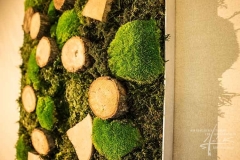 Bollmoos + Waldmoos + Holz