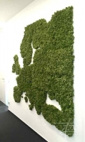 Die Europakarte aus echtem Moos