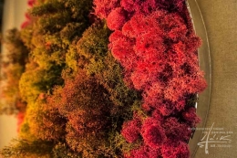 Islandmoos-Bild-rund-rot-gruen-Detail