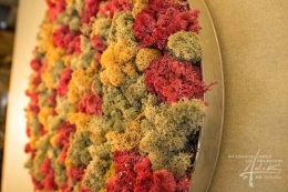 Islandmoos-bunt-Detail
