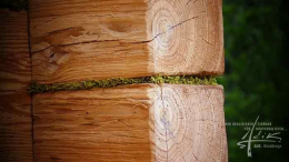 Zwischen dem Holz ist Moos