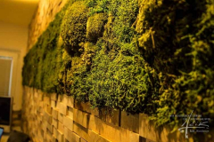 Wald-Bollmoos-Wand