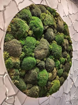 Bollmoosbild 80cm groß
