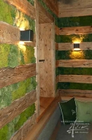 Hügelmoos und Holz