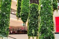 Pflanzen im Kaufhaus