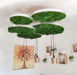 Bollmoosbilder an der Decke