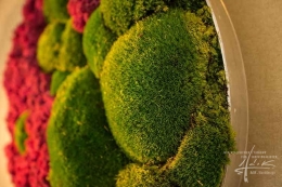 YingYang im Detail