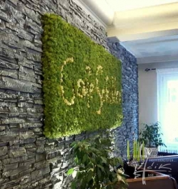 Moosbild in einem Cafe