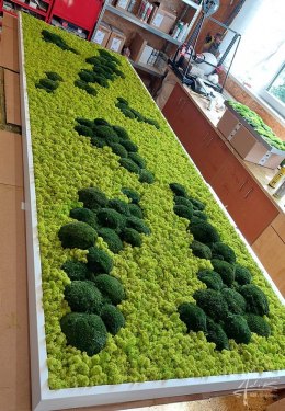 Moosbild mit Island- und Bollmoos