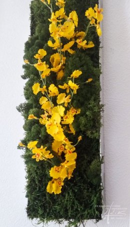 Moosbild mit Blüten