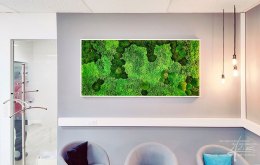 Moosbild mit Island-, Wald- und Bollmoos