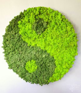 Yin Yang mit Moos