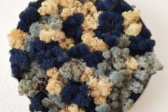 Islandmoos Bild rund