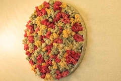 Rundes Islandmoosbild