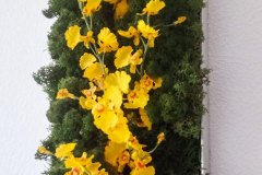 Moosbild mit Blüten