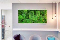 Moosbild mit Island-, Wald- und Bollmoos