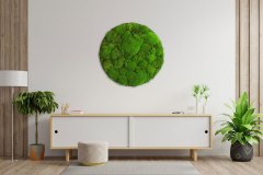Bollmoosbild
