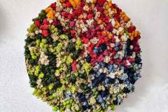 buntes Islandmoosbild