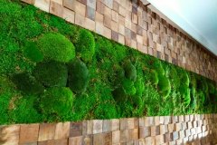 Holzwand mit Moos kombiniert