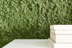 Mooswand im Wohnzimmer