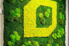 Bollmoos-Waldmooswand mit Logo
