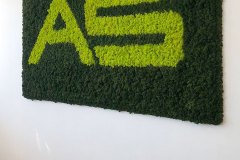 Islandmoos und Logo