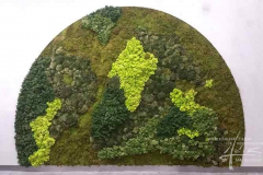 Mooswand kreativ