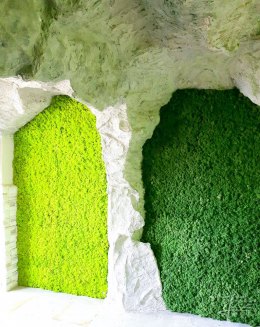Felsen und Moos