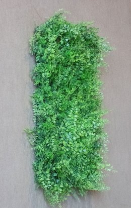 Kunstpflanzenmatten Juniperus