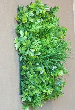 Schefflera-Matten
