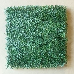 Buchs-frontal