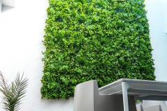 Kunstpflanzen-Schefflera-Wels03