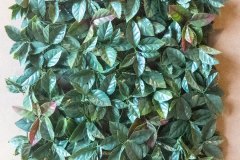 Lorbeer-frontal