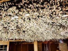 Kirschblüten an der Decke