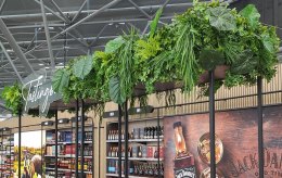 Kunstpflanzen im Shop