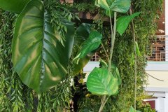 Pflanzen für einen Shop