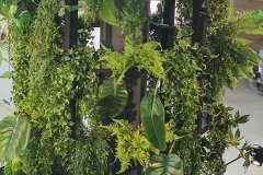 Kunstpflanzen im Shop