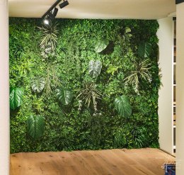 Pflanzen an der Wand