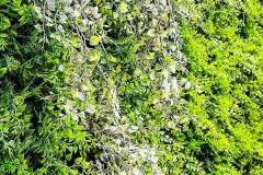 Wand mit Kunstpflanzen