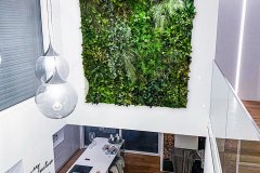 Kunstpflanzen im Büro