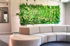Kunstpflanzenwand8