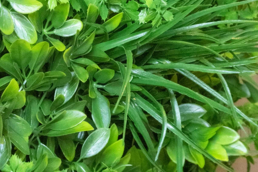 Kunstpflanze Schefflera